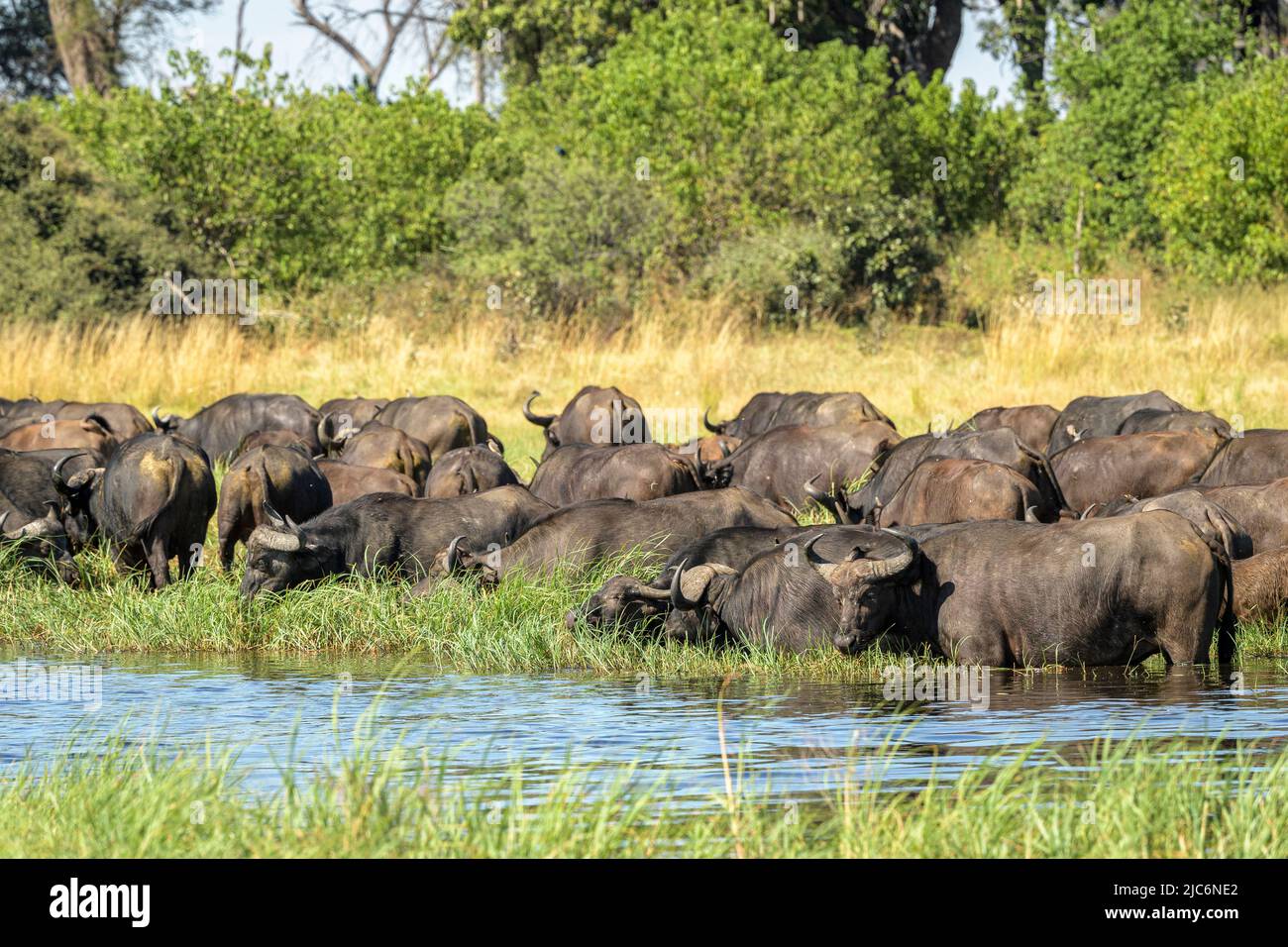 Africa visual data 4