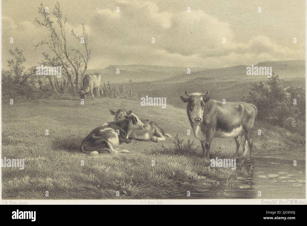 A cow is half standing in the water. Two cows are lying in the grass and a fourth cow is further along near a fence. After a painting by Jan Bedijs Tom, Cows by the Water, print maker: Gerard Jan Bos, (mentioned on object), after: Jan Bedijs Tom, (mentioned on object), printer: Koninklijke Nederlandse Steendrukkerij van C.W. Mieling, (mentioned on object), print maker: Netherlands, after: Netherlands, printer: The Hague, 1835 - 1898, paper, h 268 mm × w 358 mm Stock Photo