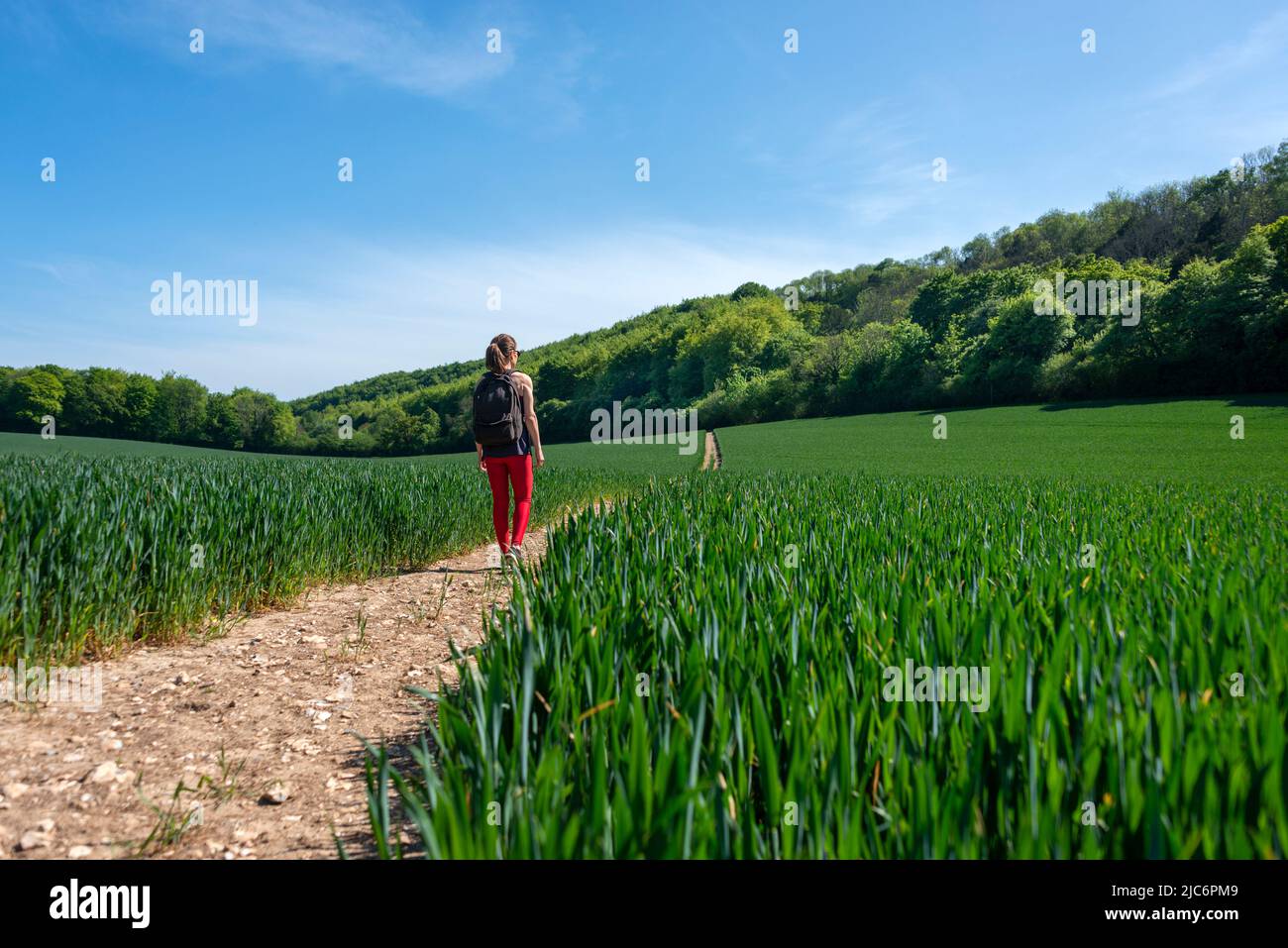Rear view of a woman hiker walking on a footpath through a field Stock Photo