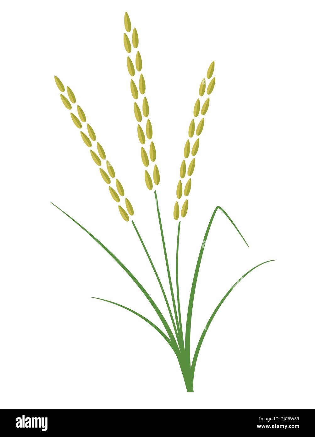 Ripe rice plant symbol for agriculture and rice farming vector illustration icon Stock Vector