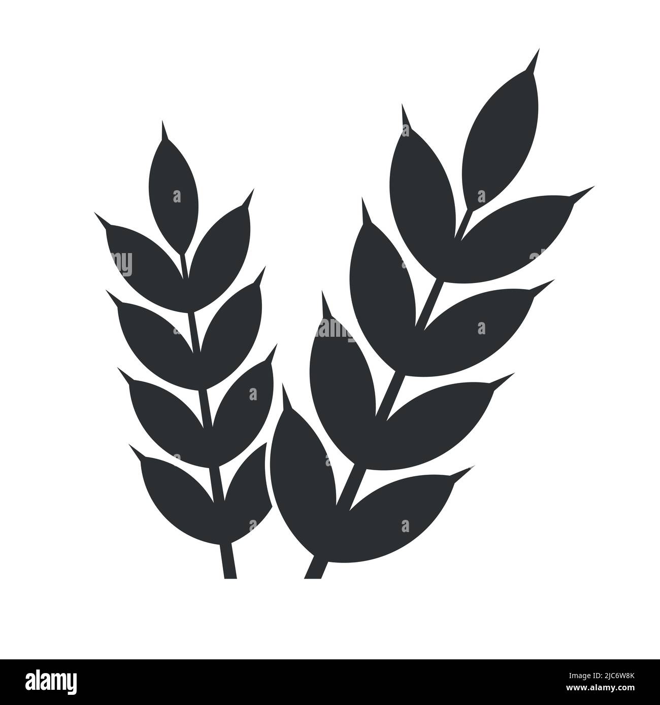 Grain farming symbol barley plant vector illustration icon Stock Vector