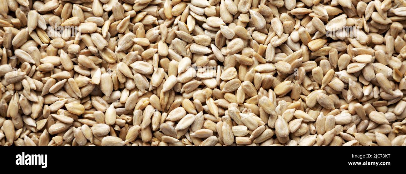 Raw Organic Sunflower Seed Kernels Stock Photo Alamy