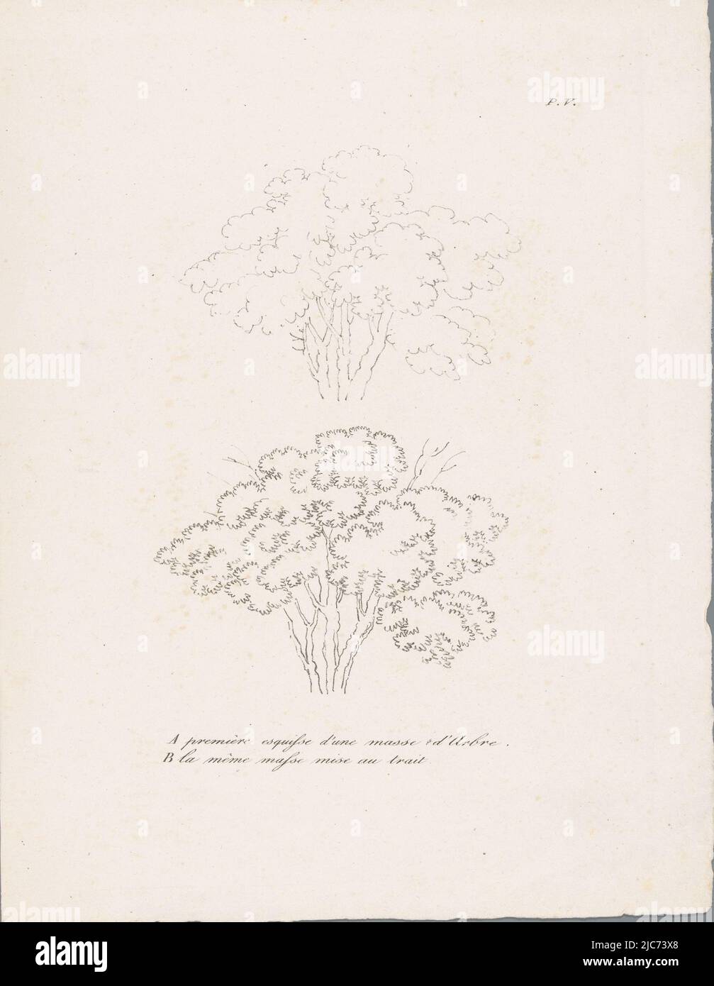 The first and second drawing phases: sketch and line drawing, Study of two treetops in various drawing phases Studies of trees , print maker: J. Bernard, publisher: Gottfried Engelmann, Mulhouse, c. 1820 - 1833, paper, h 304 mm × w 235 mm Stock Photo