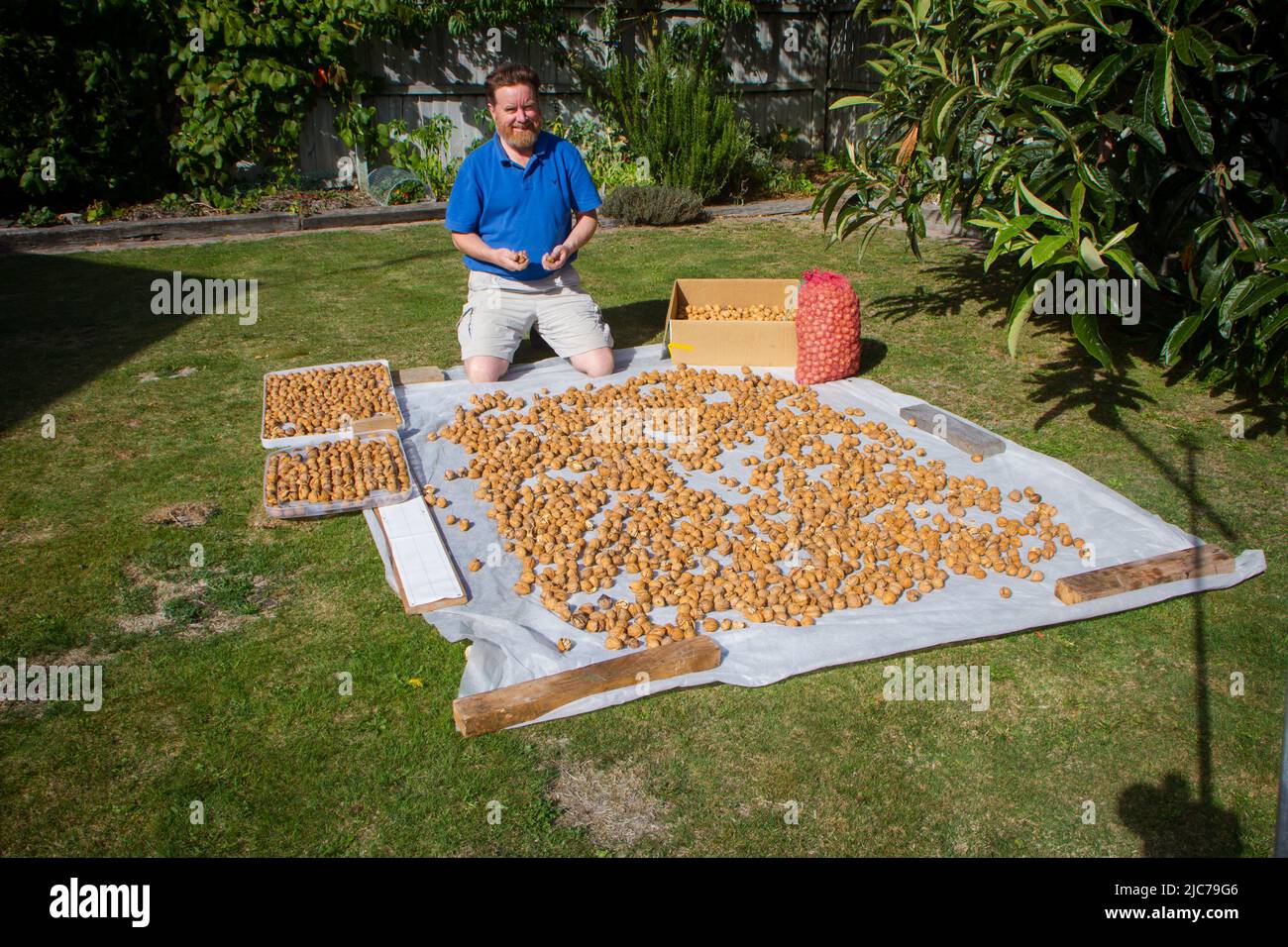 Life in New Zealand. Fishing, foraging, diving, gardening and sports