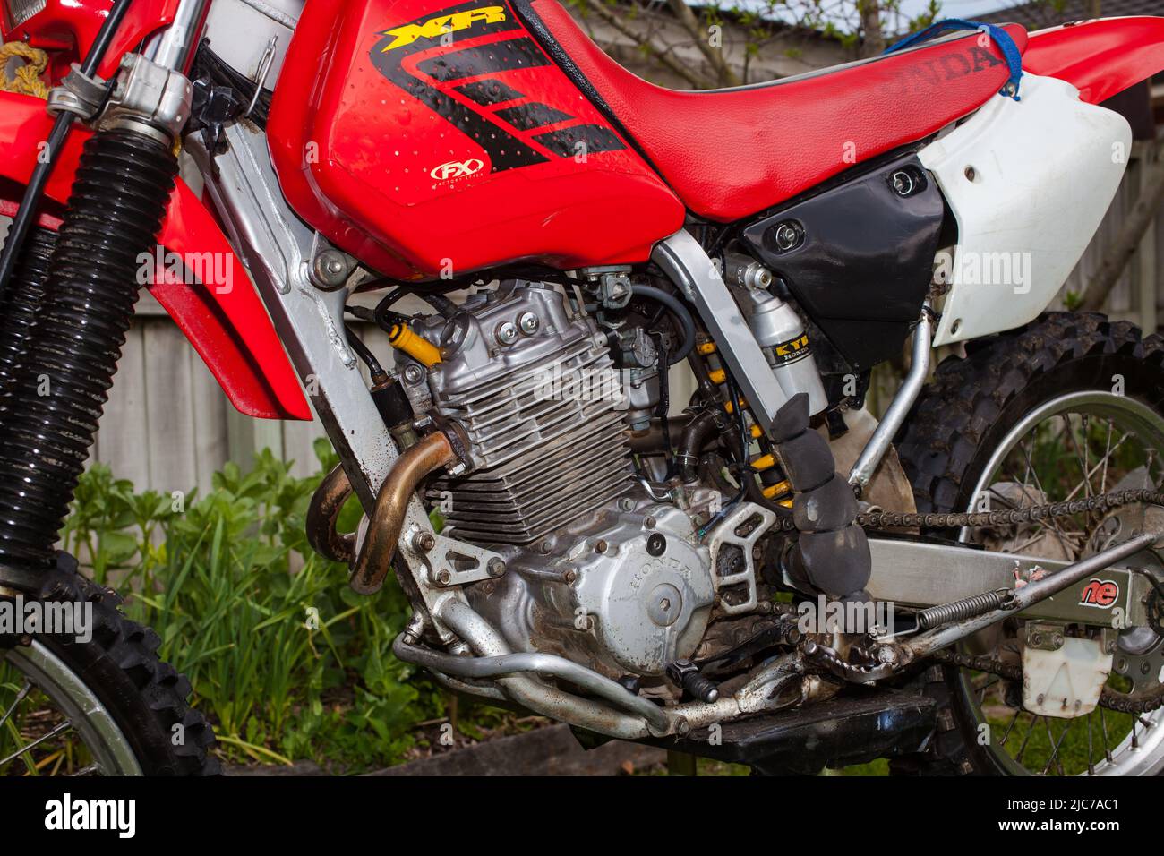 Life in New Zealand. Fishing, foraging, diving, gardening and sports.  Motorcycle maintenance on my Honda XR400 Dirt Bike Stock Photo - Alamy