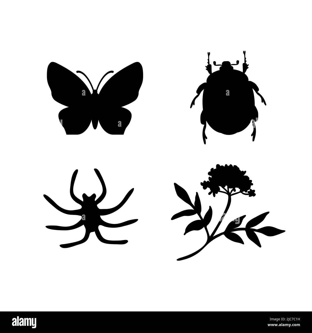 Insects and flower vector elements Stock Vector Image & Art - Alamy