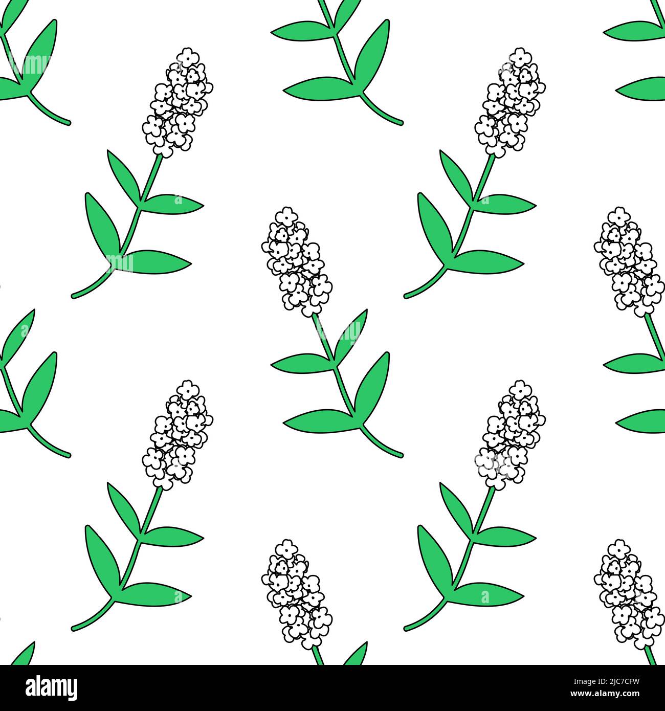 Seamless decorative vector floral pattern Stock Vector Image & Art - Alamy