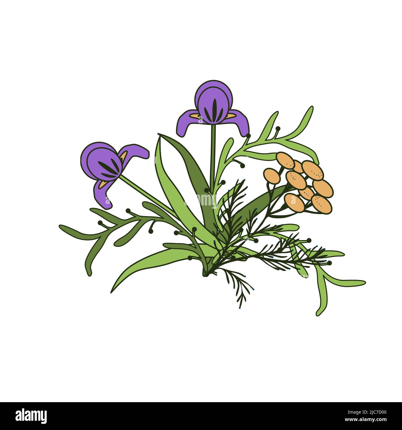 Isolated decorative vector floral bunch Stock Vector Image & Art - Alamy