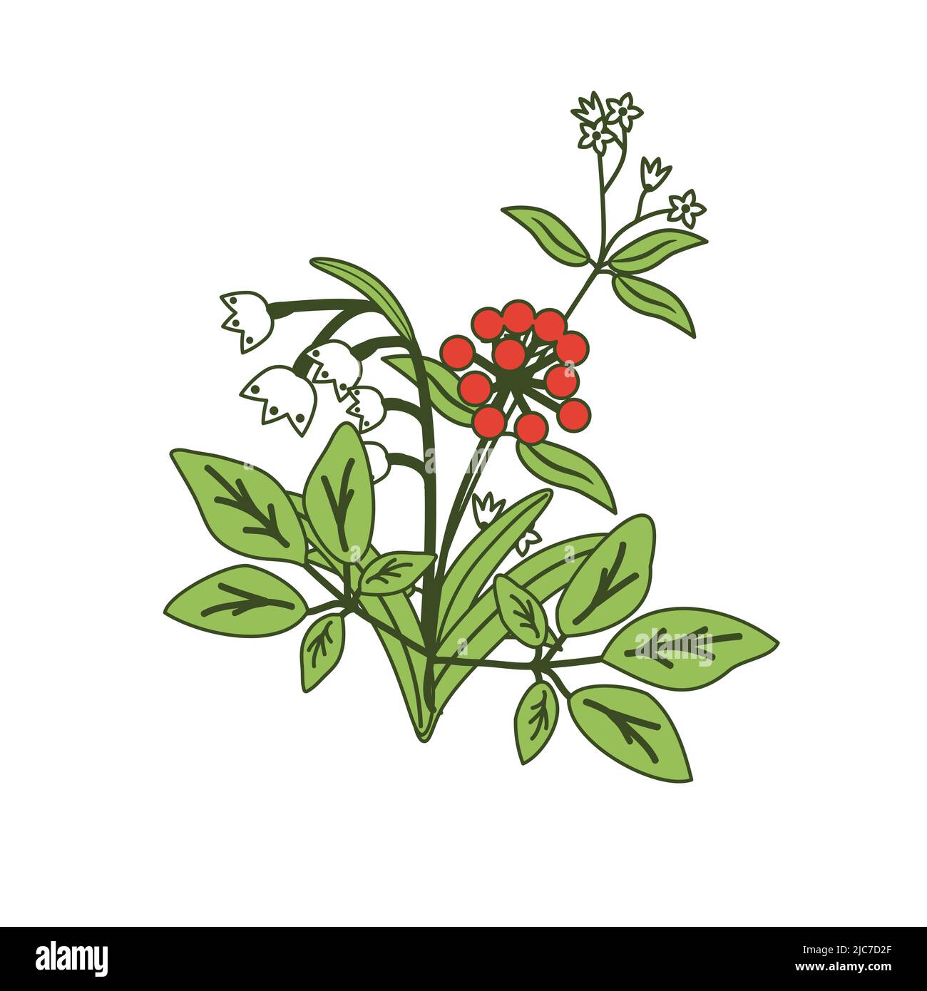 Simple isolated decorative floral bunch Stock Vector Image & Art - Alamy
