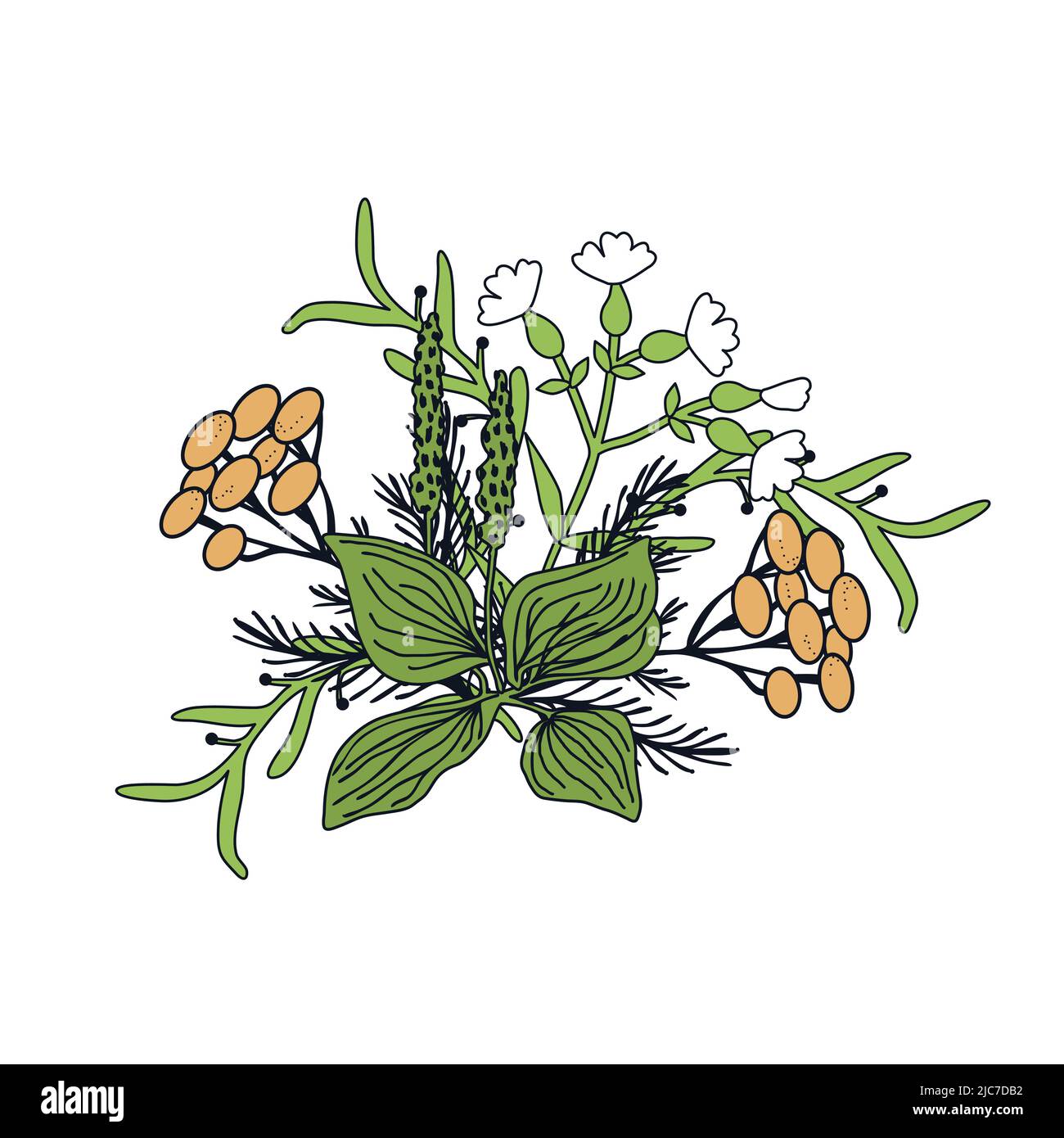 Bunch vector vectors hi-res stock photography and images - Alamy