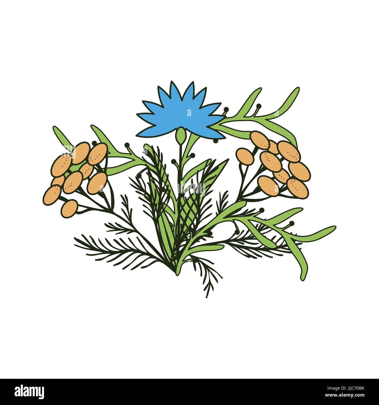 Isolated vector decorative floral bunch Stock Vector Image & Art - Alamy