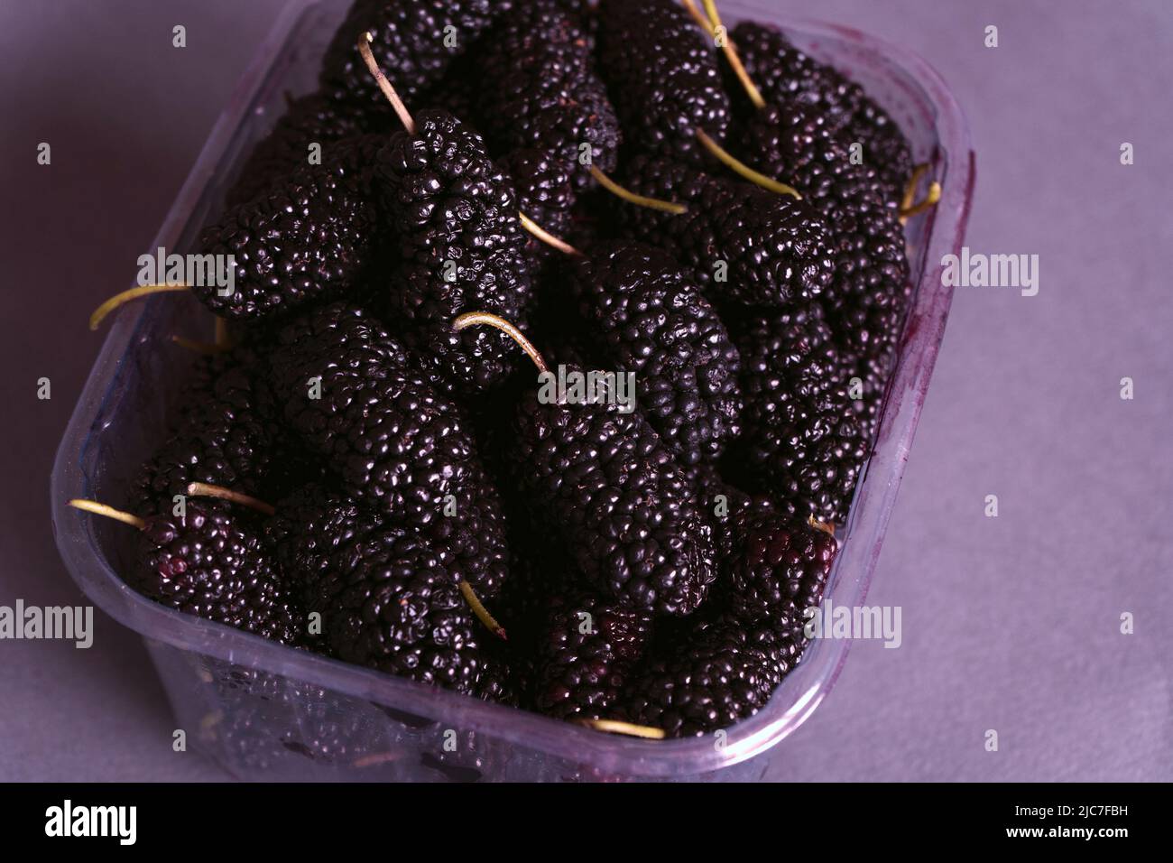 Black Mulberries in Plastic Box Package for Sale . Close up. Ready to