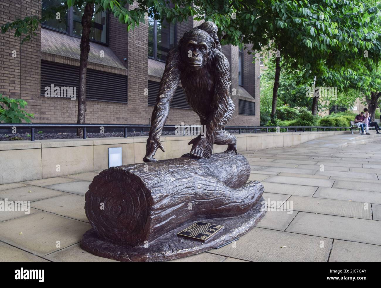 A chimpanzee sculpture is seen on The Queen's Walk promenade. 'Chimps