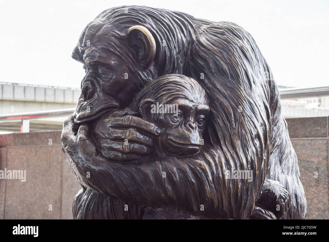 London, UK. 10th June, 2022. A chimpanzee sculpture is seen near London