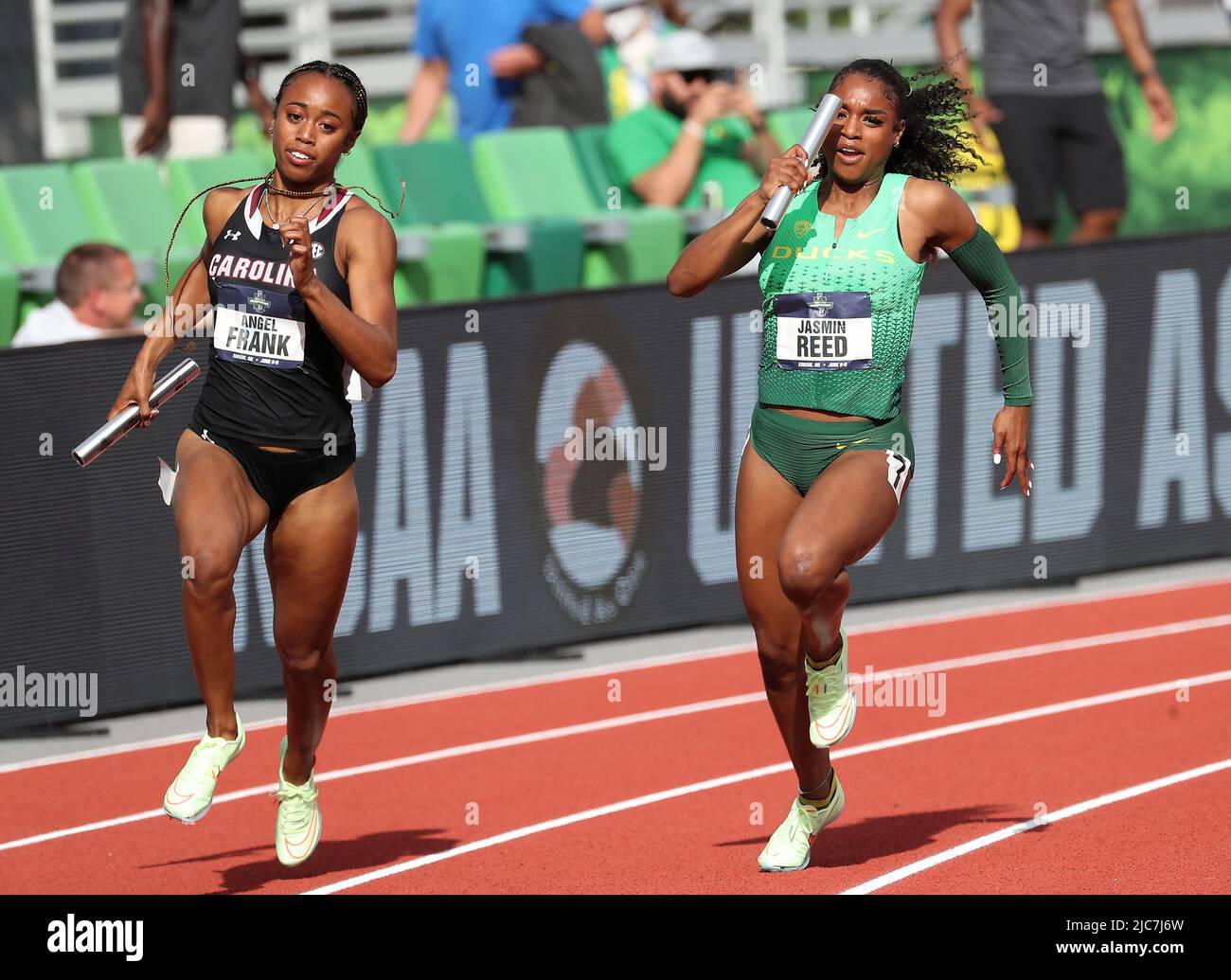 Reed ap hires stock photography and images Alamy