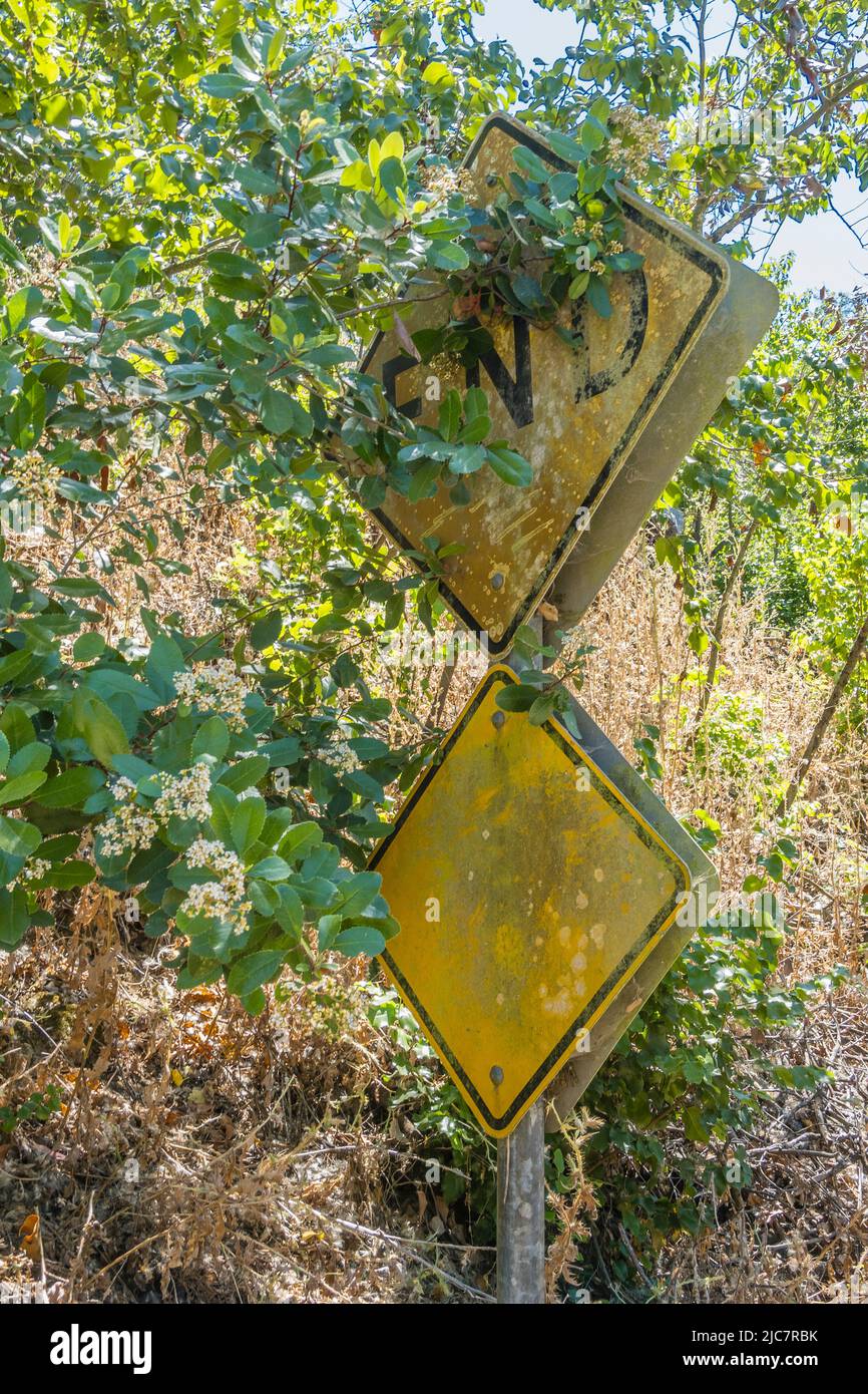 A yellow, weathered 'End of Road' sign partially covered by foilage in Santa Barbara County, California. Stock Photo
