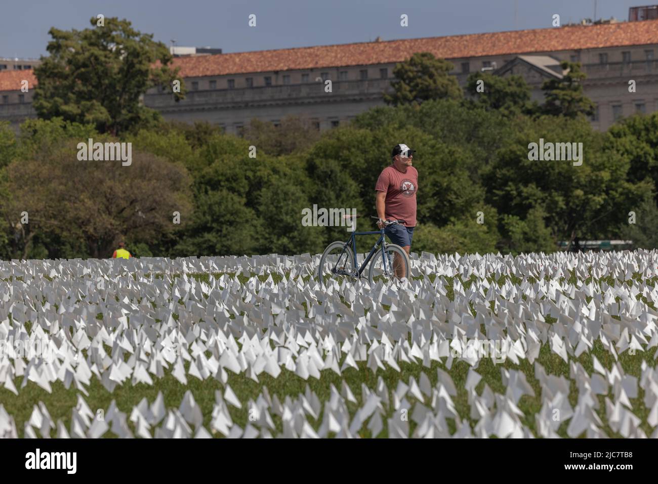 WASHINGTON, D.C. – September 19, 2021: A person visits “In America: Remember”, an installation by Suzanne Brennan Firstenberg honoring Covid victims. Stock Photo