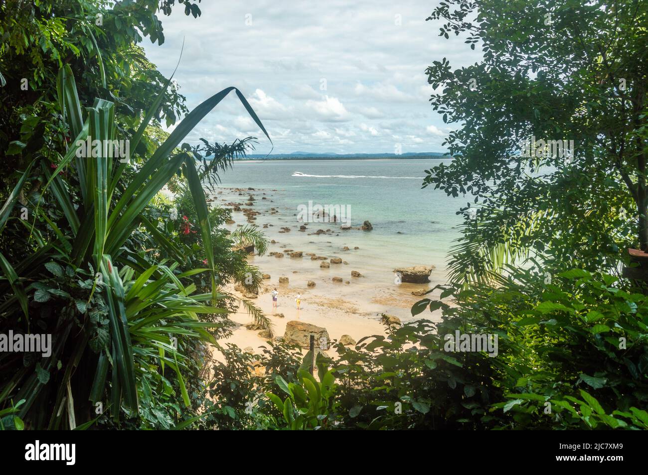 brazil beach landscape Stock Photo