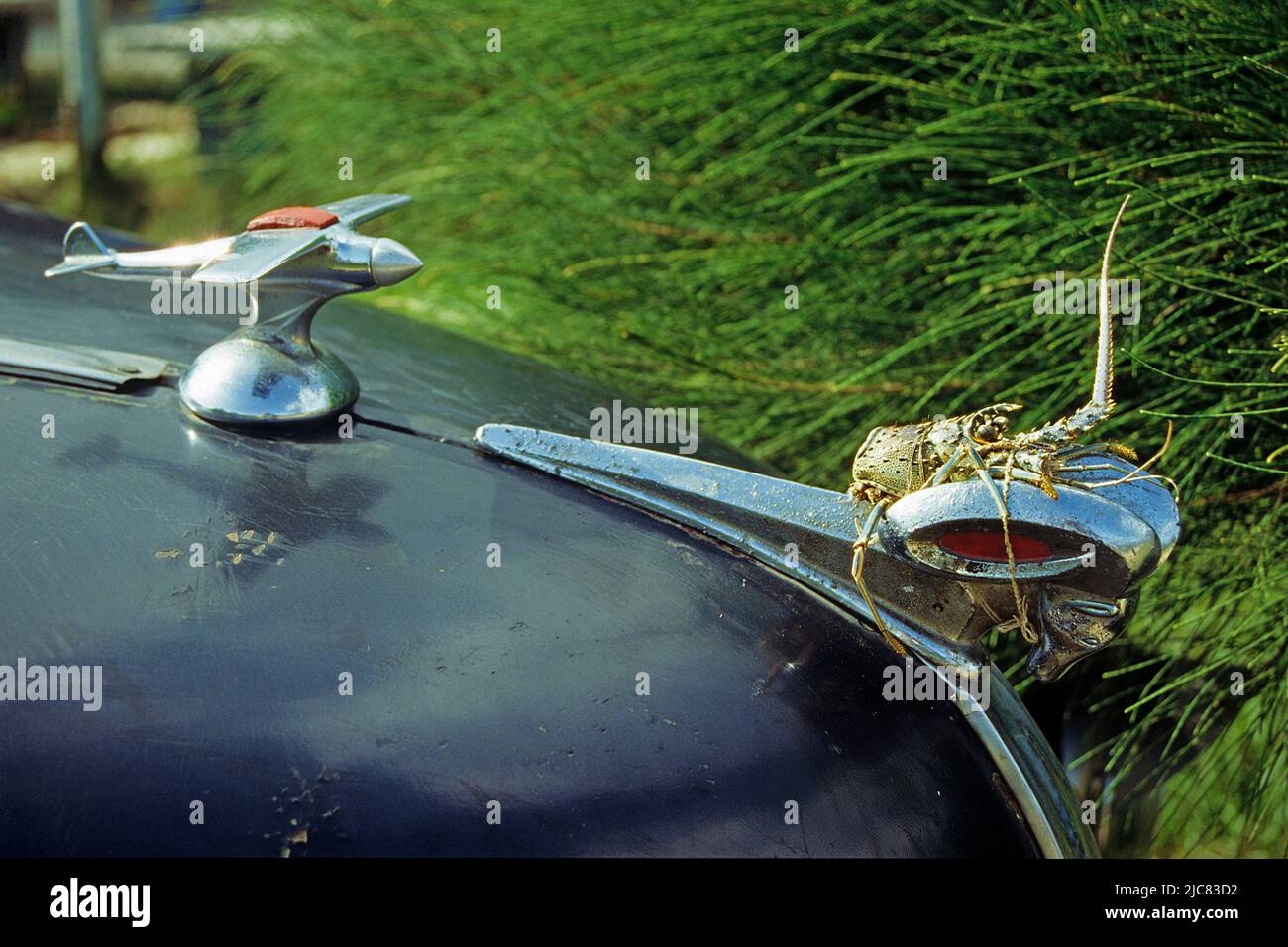 Classic car, lobster and airplane used as a hood ornament, old town of Havana, Cuba, Caribbean Stock Photo