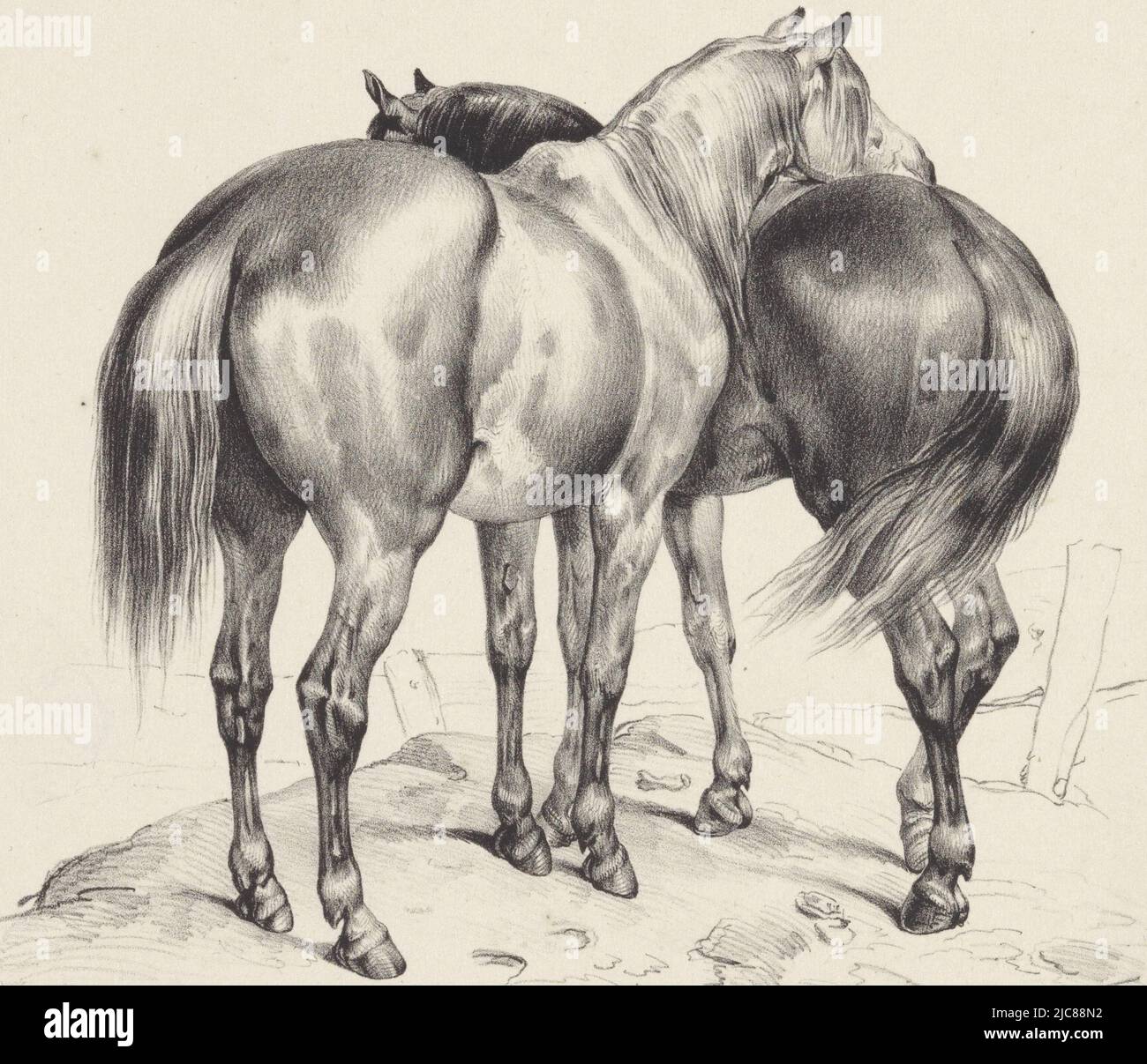 A dark and light horse stand against each other. One horse looks over the other's back, Two horses seen from behind Six small animal studies Six small animal studies , print maker: anonymous, printer: Hilmar Johannes Backer, publisher: Hilmar Johannes Backer, Dordrecht, 1822 - 1845, paper, h 220 mm × w 285 mm Stock Photo