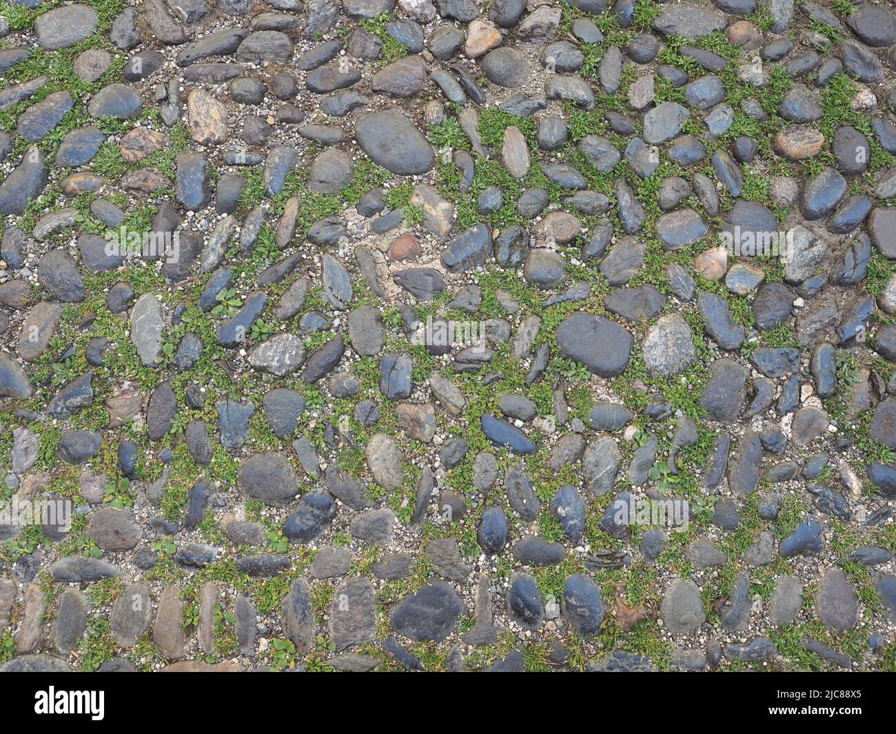 grey cobblestone floor useful as a background Stock Photo