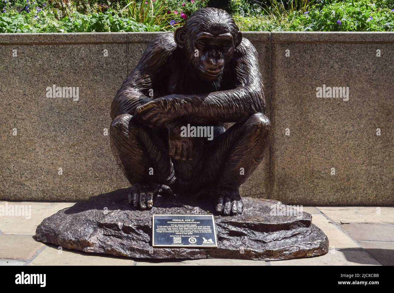 London, UK. 10th June 2022. 'Chimps Are Family' is a free public art