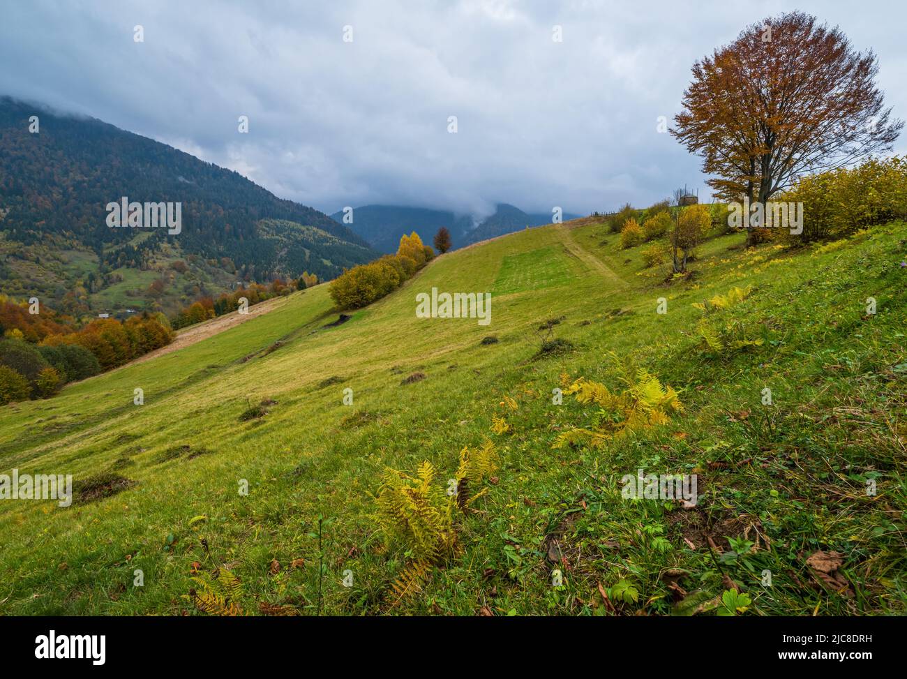 Cloudy and foggy morning autumn meadow scene. Peaceful picturesque traveling, seasonal, nature and countryside beauty concept scene. Carpathian Mounta Stock Photo