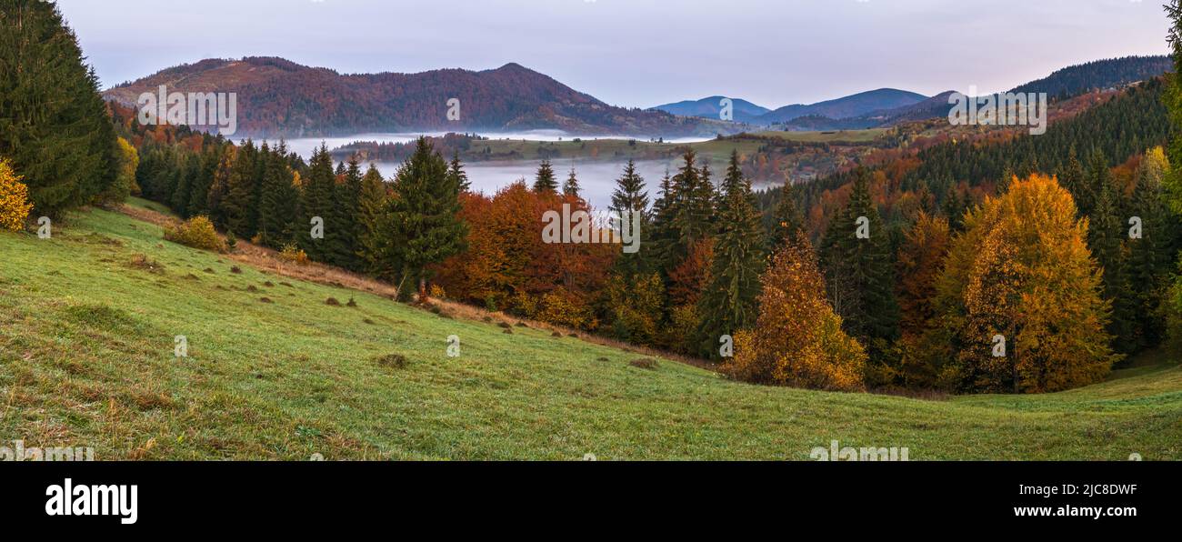 Foggy early morning autumn mountains scene. Peaceful picturesque traveling, seasonal, nature and countryside beauty concept scene. Carpathian Mountain Stock Photo