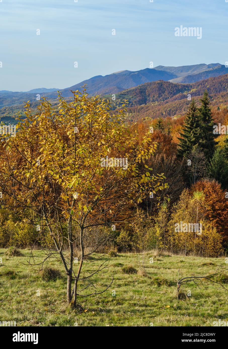 Autumn morning Carpathian Mountains calm picturesque scene, Ukraine. Peaceful traveling, seasonal, nature and countryside beauty concept scene. Stock Photo