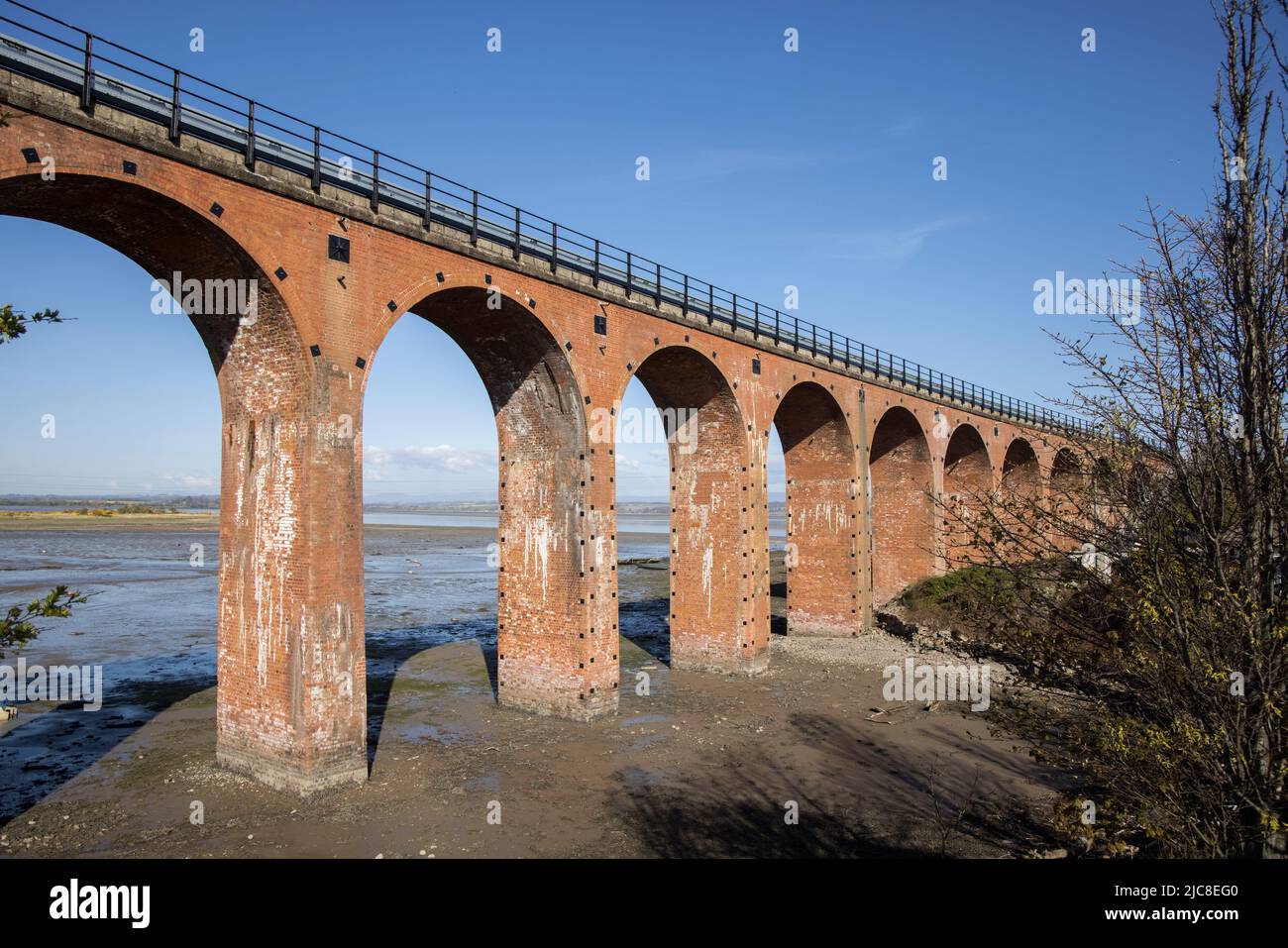 ferryden viaduct at montrose basin  scotland Stock Photo