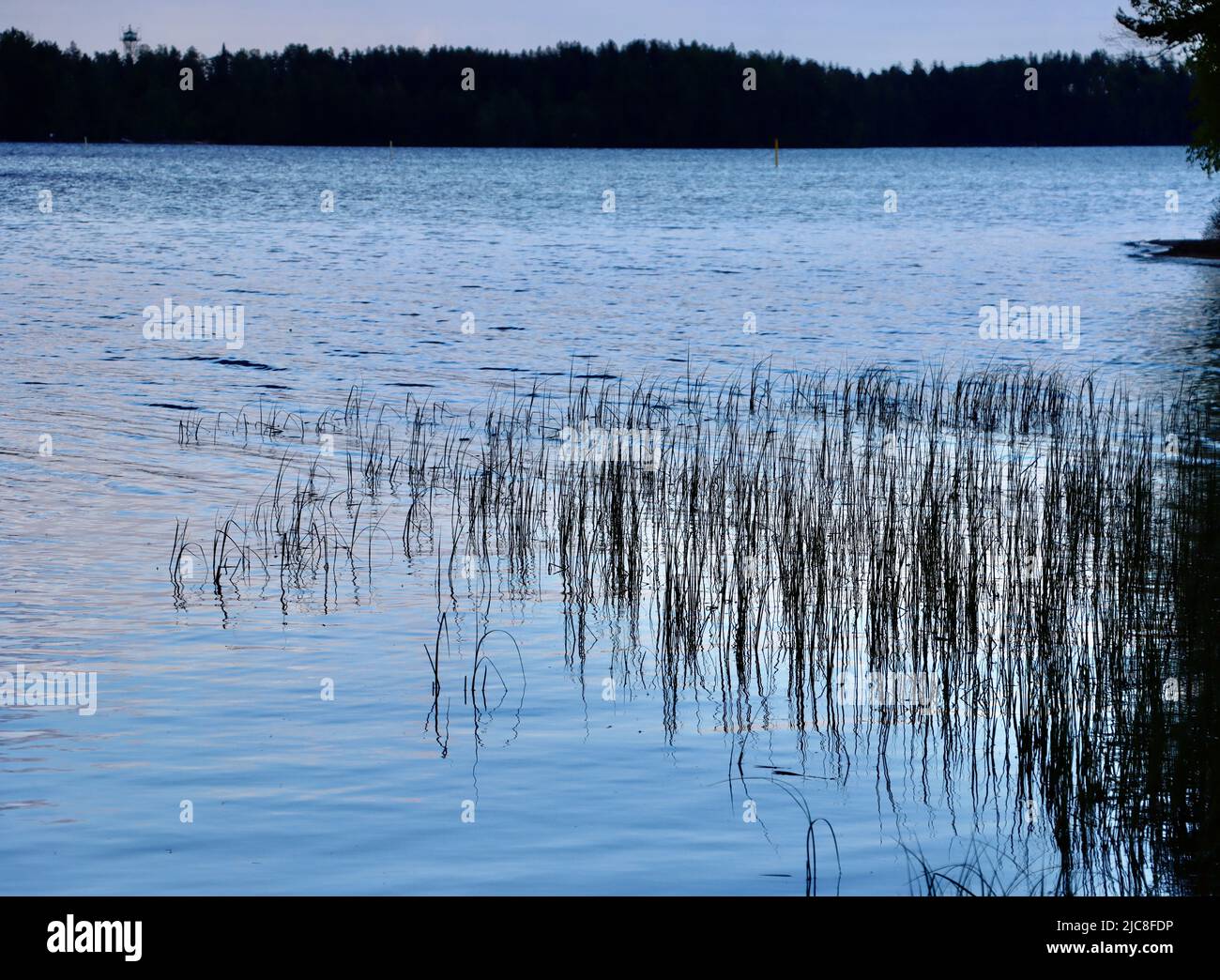 Lake Pyhäjärvi on border zone on the Finland side of the Finland-Russia borden Stock Photo