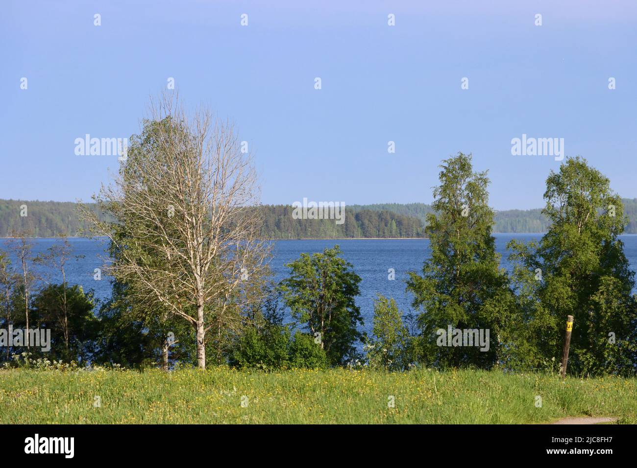 View over Lake Pyhäjärvi at Uukuniemi border zone on the Finland side of the Finland-Russia borden.  Russia on the far side of lake. Stock Photo