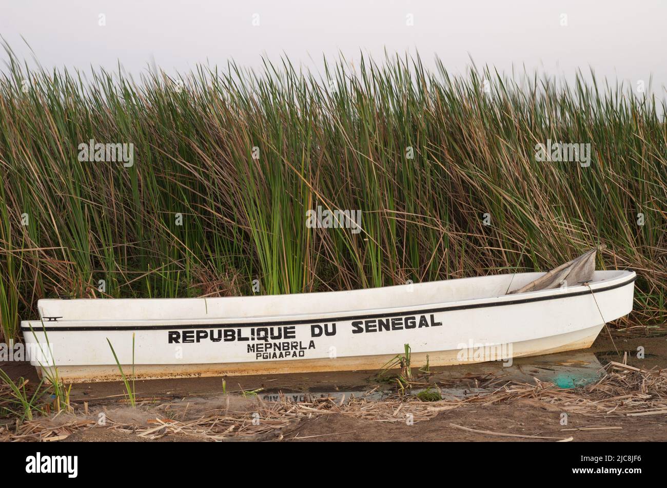 Oiseaux du Djoudj National Park, January 17, 2009: Boat in a lagoon. Saint-Louis. Senegal. Stock Photo