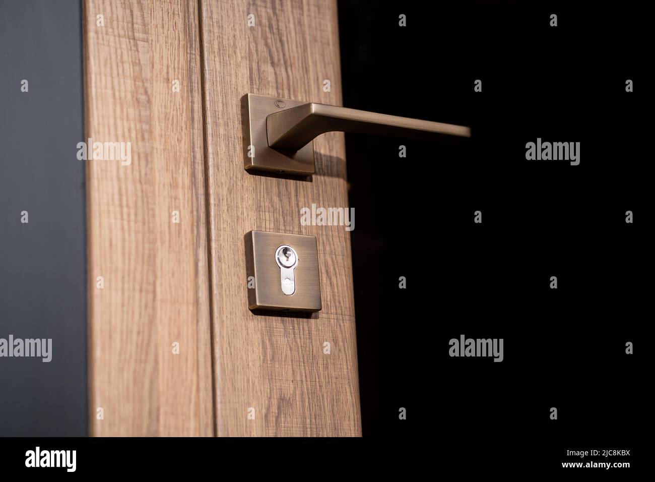 modern and secured metal closed door handle detail Stock Photo Alamy