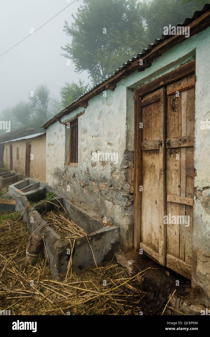 Domestic cattle house and feed troughs for cattle in rural India of the