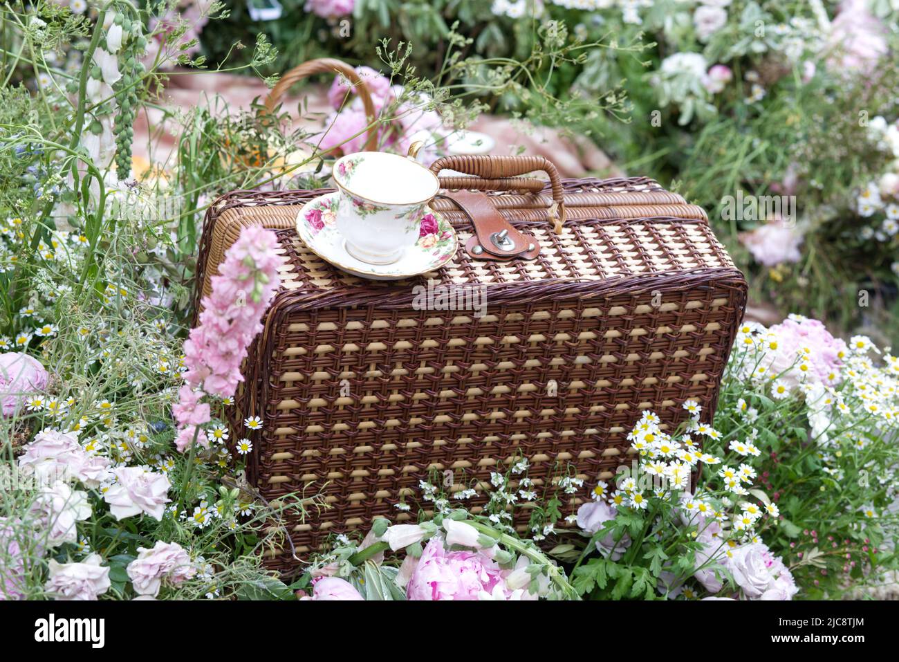 picnic basket in the garden. Stock Photo