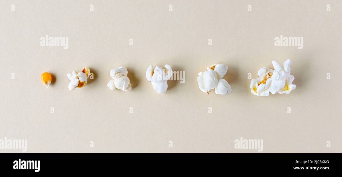 Corn growth stages hires stock photography and images Alamy