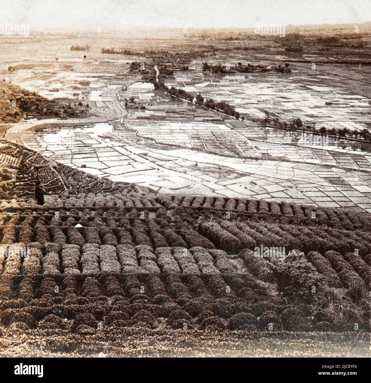 View of Tea and rice fields in Shizuoka in late nineteenth century, Japan Stock Photo