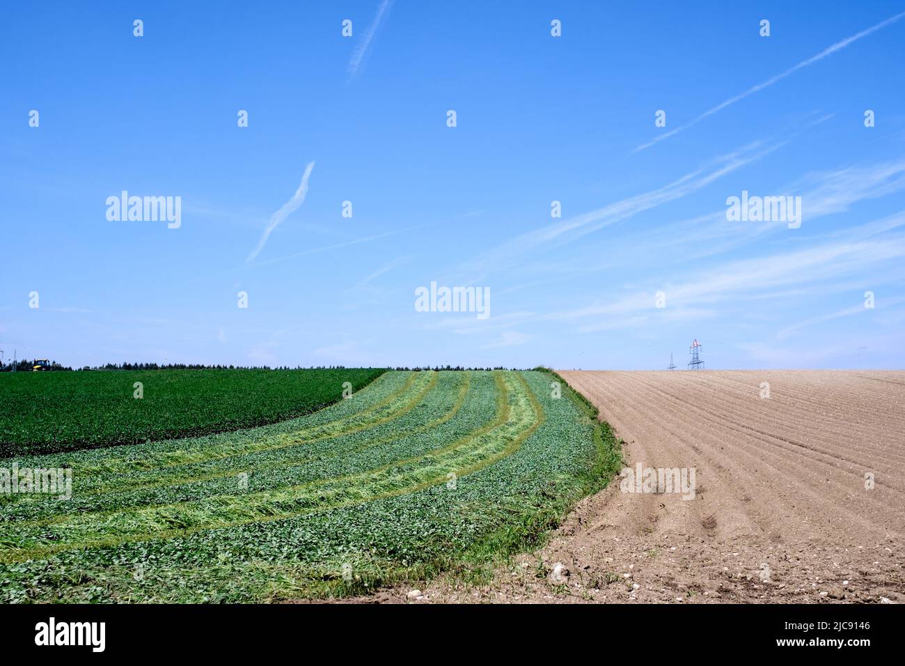Agrarlandschaft Stock Photo