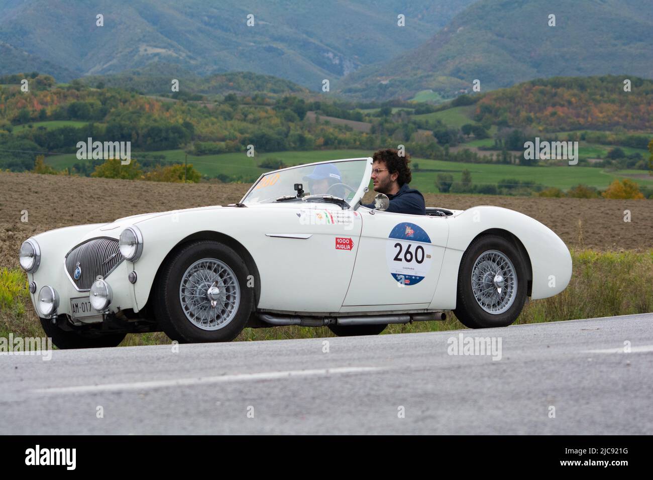 CAGLI , ITALY - OTT 24 - 2020 : AUSTIN HEALEY 100/4 BN1 1954 on an old racing car in rally Mille Miglia 2020 the famous italian historical race (1927- Stock Photo