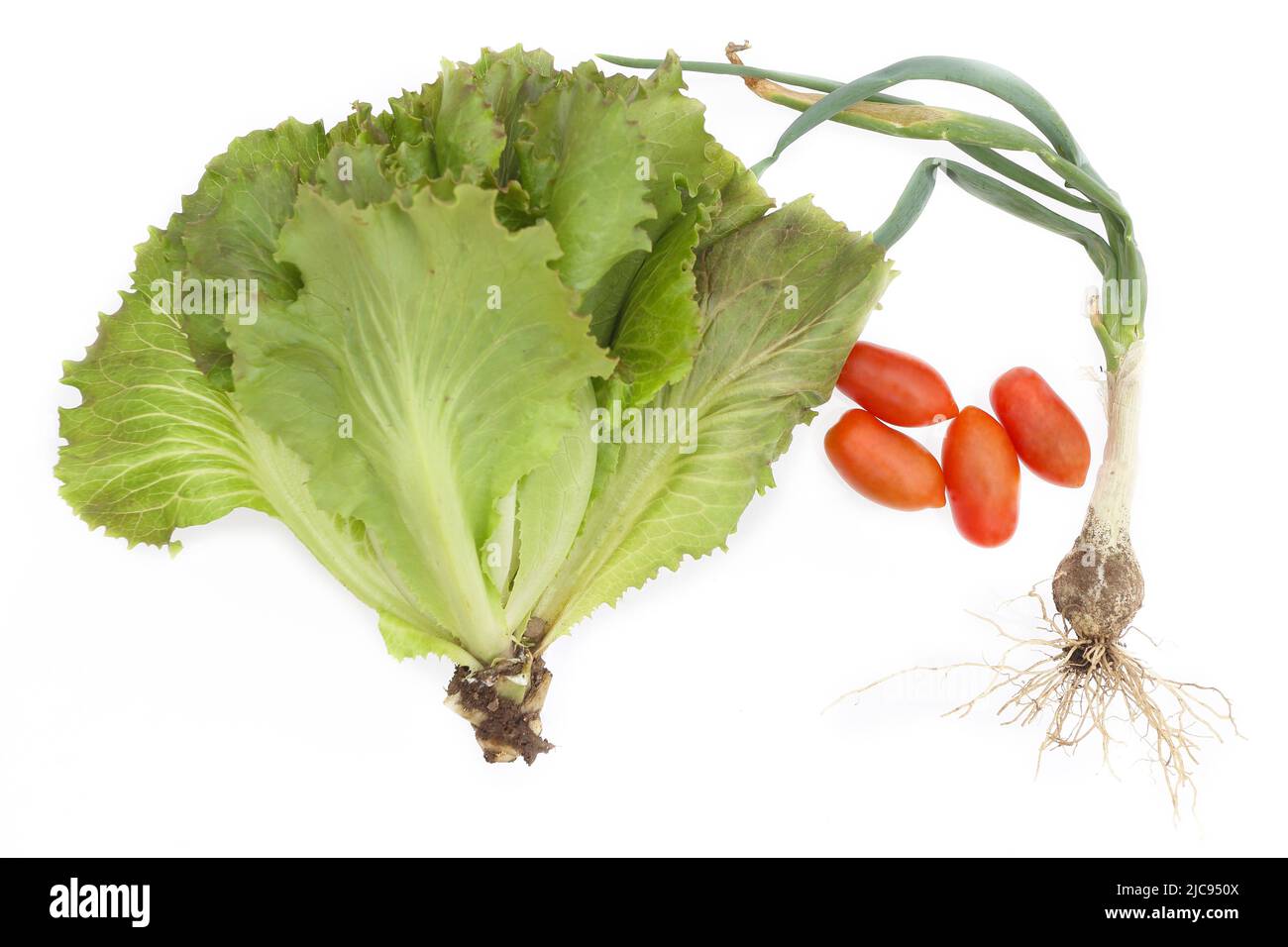 Verdure grigliate hi-res stock photography and images - Alamy