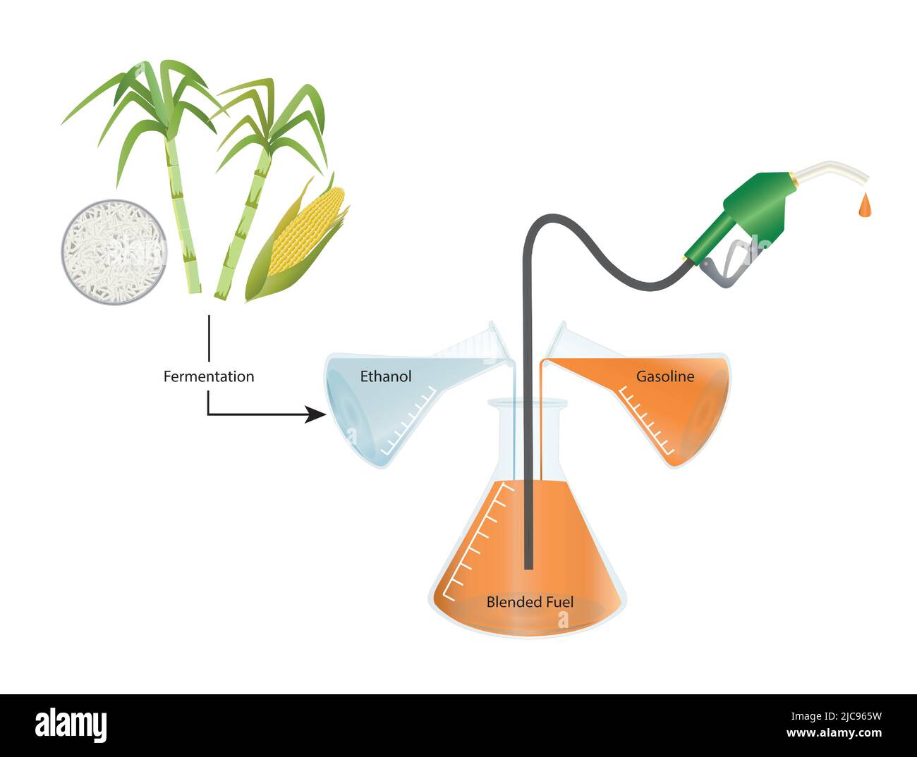 Vector Illustration of Ethanol Blending with Fuel Stock Vector Image