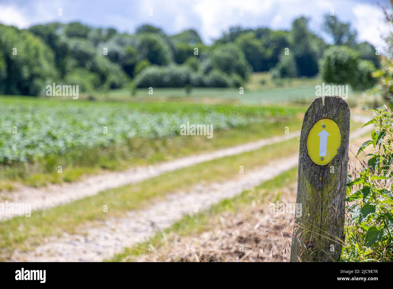 Forest signal trail orientation hi-res stock photography and images - Alamy