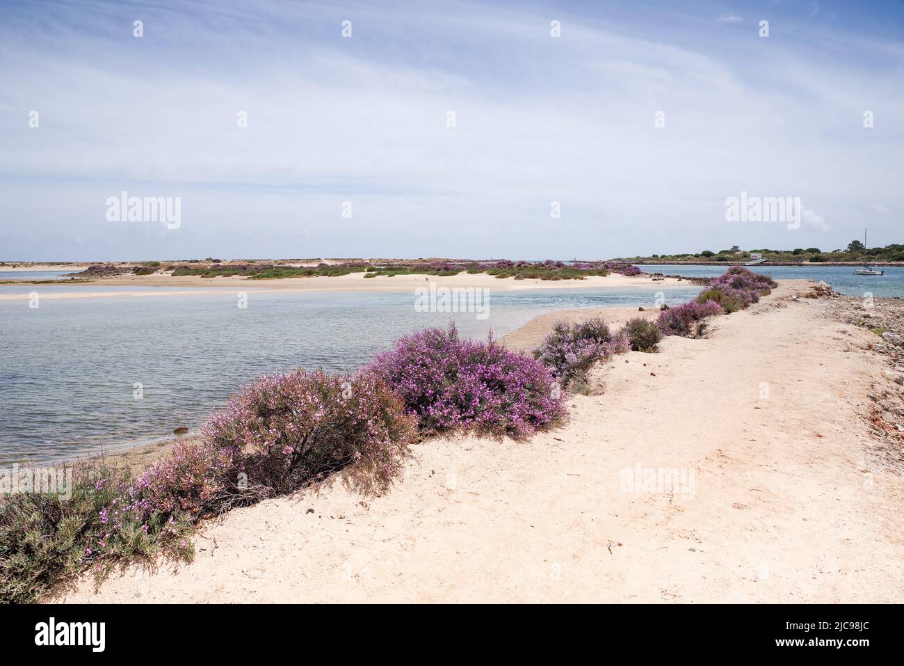 Praia dos Tesos with its sheltered shore and shallow waters is perfect for an 'off the beaten track' beach experience - Tavira, Algarve, Portugal Stock Photo