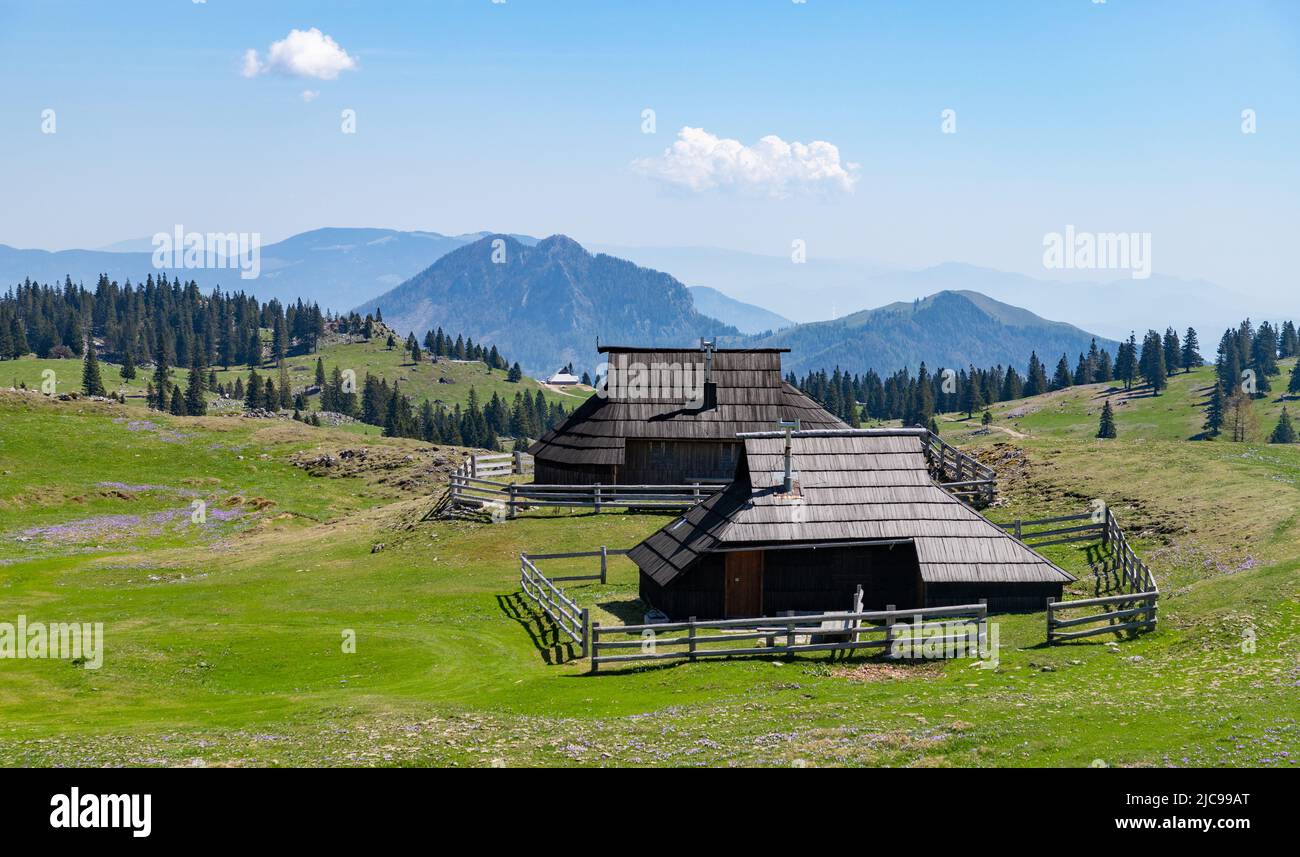 A close-up picture of two of the herder huts of Velika Planina, or Big Pasture Plateau. Stock Photo
