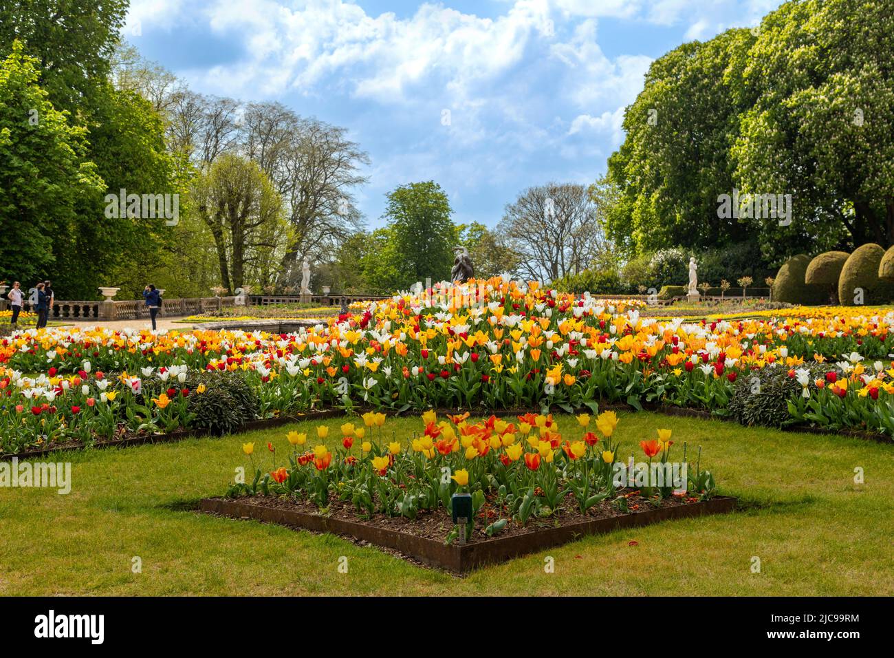 Landscaped flowerbeds with flowering tulips in spring in the parterre garden at Waddesdon Manor, Ayelesbury, Buckinghamshire, England, UK. Stock Photo