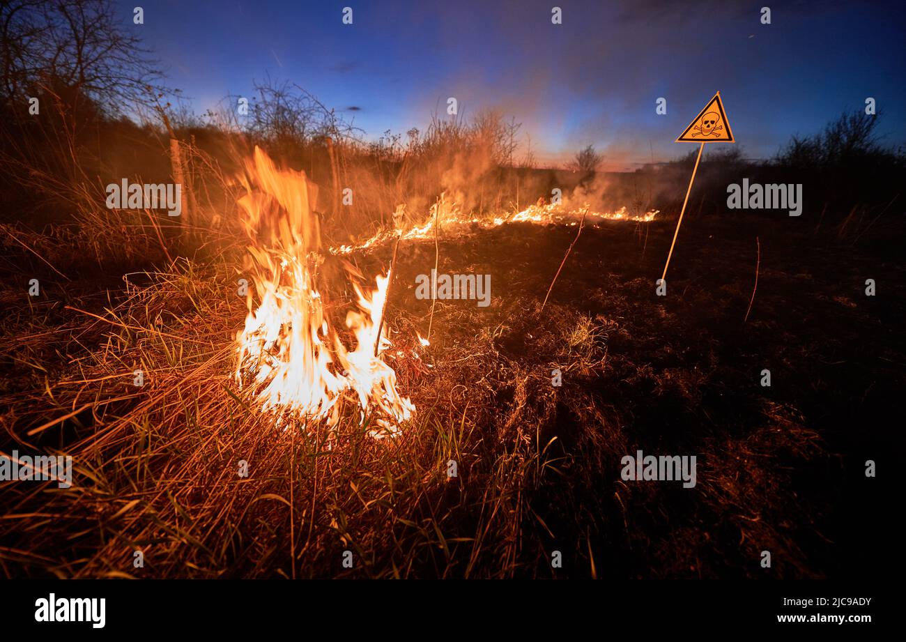Burning dry grass and poison toxic sign at night. Yellow triangle with