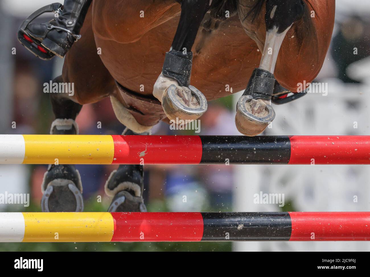 German female equestrian hires stock photography and images Alamy