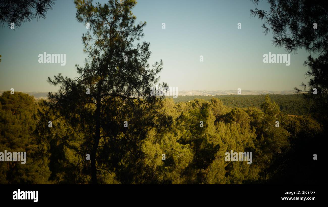 Beautiful mountain forest hi-res stock photography and images - Alamy