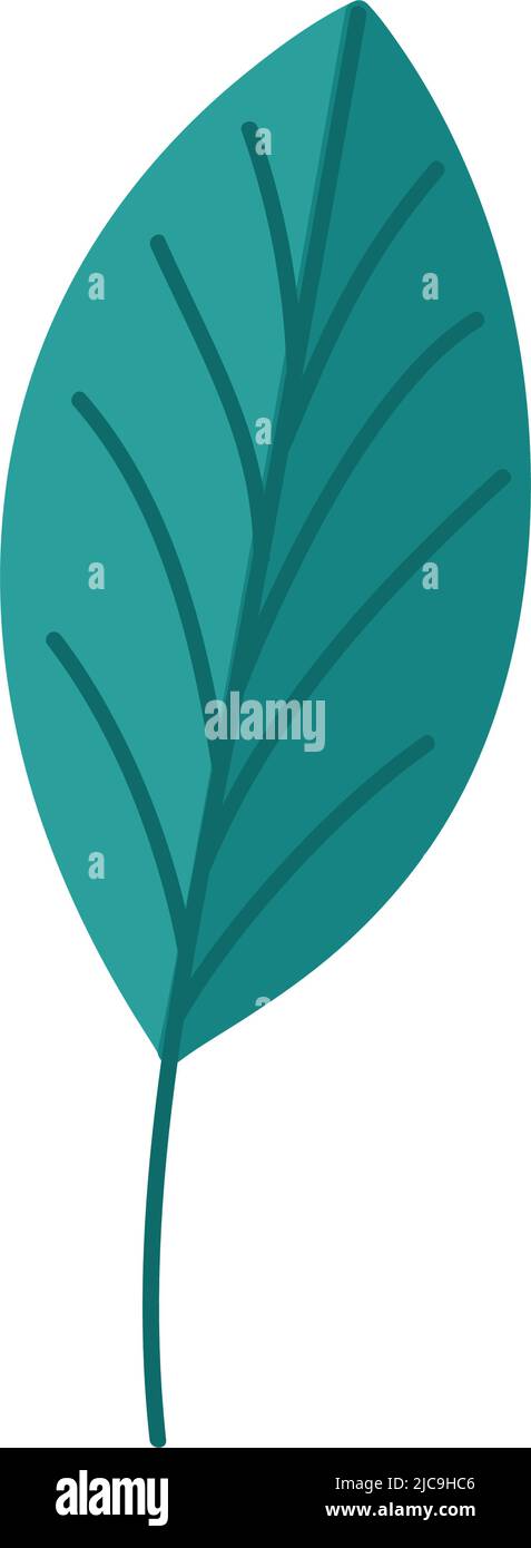 cute green leaf Stock Vector Image & Art - Alamy